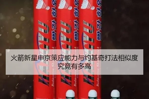 火箭新星申京策应能力与约基奇打法相似度究竟有多高